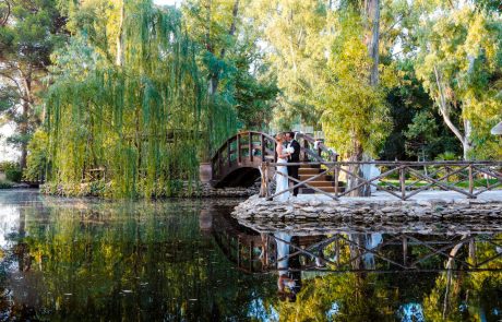 Location Ideale per Matrimoni a Cerignola